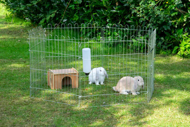 dobar Freilaufgehege